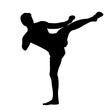 Kämpfer Kick Kickboxen Karate Training Silhouette 