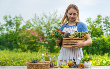 Wall Mural - Woman with medicinal herbs and tinctures. Selective focus.