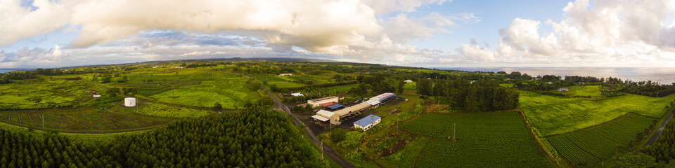 Wall Mural - Hilo, Hawaii