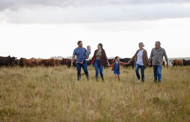 Farming, sustainability and family community on a farm walking together with cows in the background. Happy agriculture countryside group relax holding hands in a green sustainable field in nature