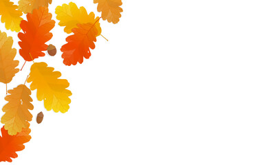 Wall Mural - Autumn leaves background with copy space. Vector illustration of colorful oak fallen leaves.