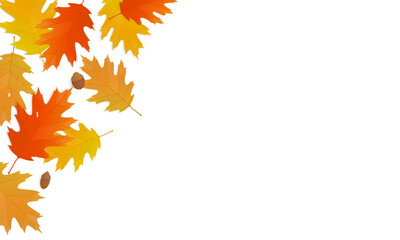 Wall Mural - Autumn leaves background with copy space. Vector illustration of colorful oak fallen leaves.