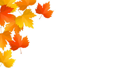 Wall Mural - Autumn leaves background with copy space. Vector illustration of colorful maple fallen leaves.