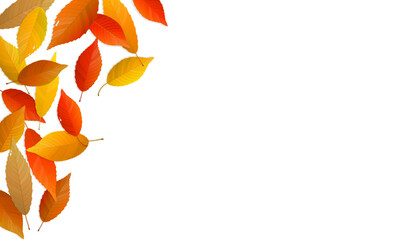 Wall Mural - Autumn leaves background with copy space. Vector illustration of colorful fallen leaves.