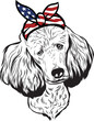 Poodle Dog vector eps , Dog in Bandana, sunglasses, Fourth , 4th July vector eps, Patriotic, USA Dog, Cricut Silhouette Cut File