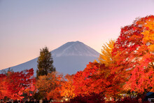Mount Fuji Over Maple Garden Festival In Autumn Season