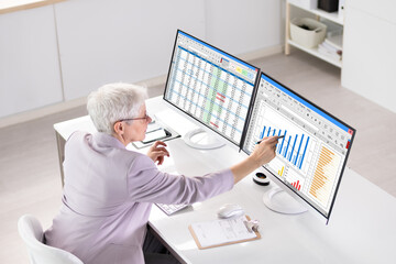 Poster - Professional Data Analyst