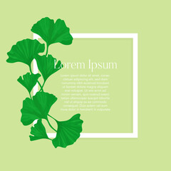 Wall Mural - Ginkgo biloba vector frame. Hand drawn illustration of botanical branch and space for text.