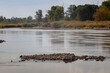 Śmierdząca rzeka Odra bez życia po zatruciu wody