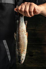 Wall Mural - chef hands with Raw trout fish with spices on a dark background. vertical image. top view. place for text