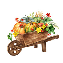 Pumpkins In A Wheelbarrow Free Stock Photo - Public Domain Pictures