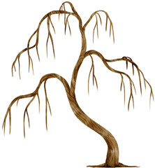 Leafless dead tree dry tree watercolor illustration for Decorative Element