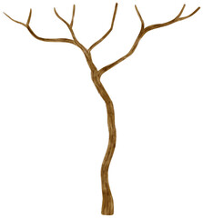 Leafless dead tree dry tree watercolor illustration for Decorative Element