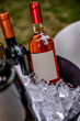 bottles of wine in the ice at the tasting or in the store