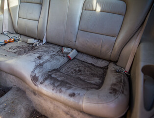 Dirt filled back seat of vehicle