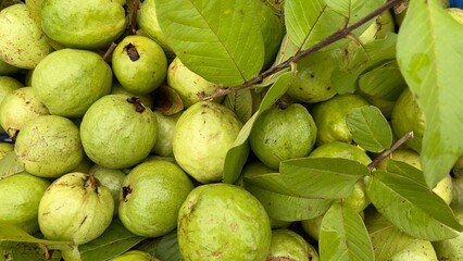 Fresh guava