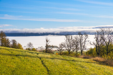 Canvas Print - Grass meadow and with mist in the valley