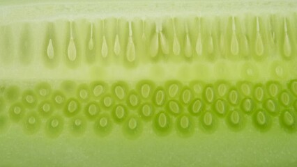 Wall Mural - Cut cucumber macro. Sliced cucumber close up, slider shot