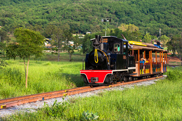 passenger classic train with nature background