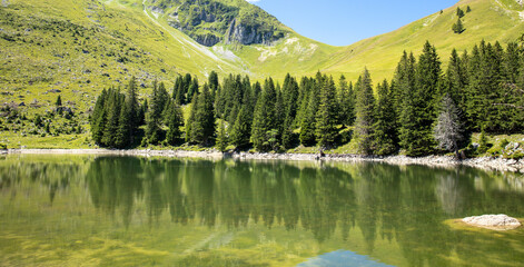 Wall Mural - amazing lake with reflection of forest and mountain