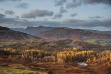 Majestic Landscape Image Of Stunning Autumn Sunset Light Across Langdale Pikes Looking From Holme Fell In Lake District
