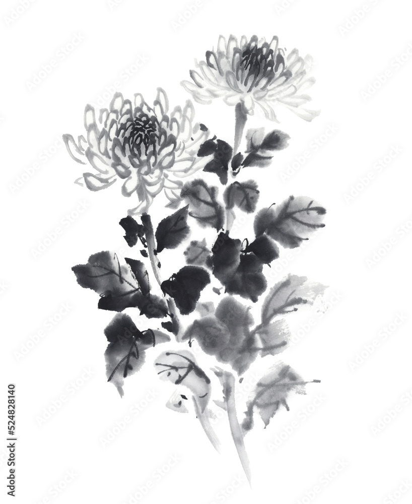咲いている菊の花 水墨画 の Stock イラスト | Adobe Stock