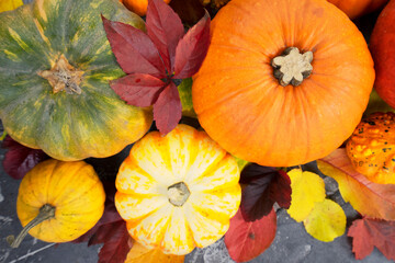 Wall Mural - pumpkin on table