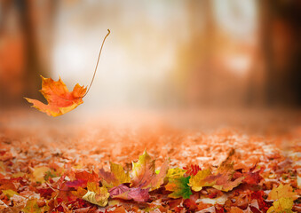 Wall Mural - Falling autumn leaves background in the park