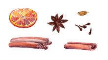 Collection Of Christmas Spices (cinnamon, Cloves, Vanilla, Anise, Citrus Fruit). Watercolor Winter Spicy Set