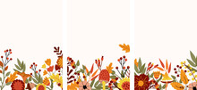 Autumn Banner With Colorful Leaves, Mushroom, Autumn Berries And Flowers. Composition For Your Greeting Cards, Poster, And Harvest Festival Or Thanksgiving. Vector Illustration. 