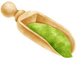 matcha powder watercolor in wooden scoop illustration