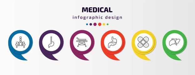 medical infographic template with icons and 6 step or option. medical icons such as p, esophagus, hospital bed side view, stoh, bandage cross, liver vector. can be used for banner, info graph, web,