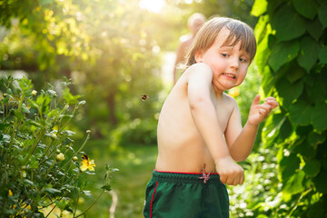 Toddler boy dodging flying bumblebee in summer. Emotional child affraid of bees. Insect phobia