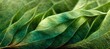 Leinwanddruck Bild - Spectacular realistic detailed veins and a vivid green coloration are revealed in this abstract close-up of green leaf. Digital 3D illustration. Macro