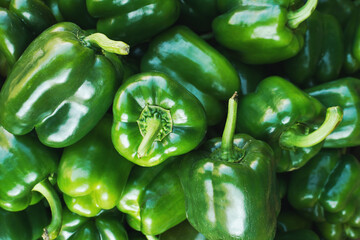 Wall Mural - organic green bell peppers  background