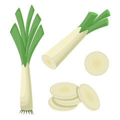 Leek, whole and cut, isolated on a white background. flat style