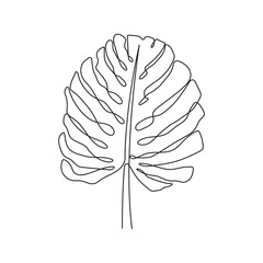 Wall Mural - One line drawing of monstera leaf. Continuous one line of monstera exotic tropical palm. Vector illustration.