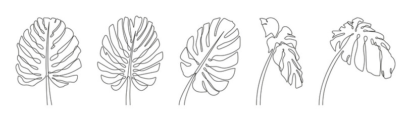 Poster - Monstera leaves set drawn with one continuous line. Different tropical palm leaves of monstera, one line drawing. Vector illustration.