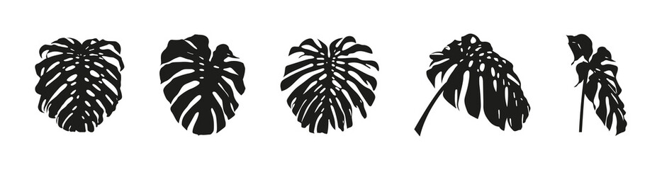 Poster - Monstera leaves set. Silhouette of different tropical palm leaves of monstera isolated on white background. Exotic tropical plant leaf. Vector illustration.