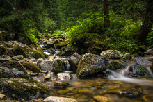 Three Waters Educational Trail In The Low Tatras, Demänovská Dolina, Slovakia