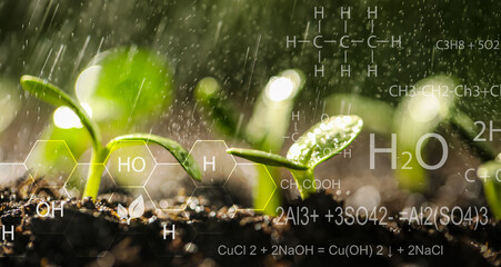 Wall Mural - Sprinkling water on green seedlings growing in soil, closeup. Illustration of chemical formulas