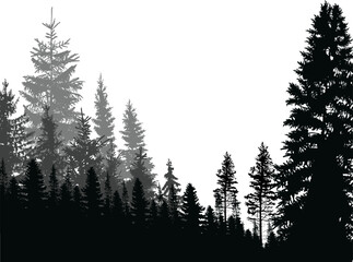 Sticker - black and grey coniferous forest isolated on white