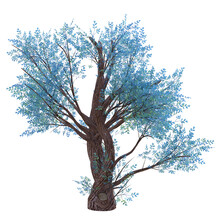 Fantastic Tree Isolated. 3d Render