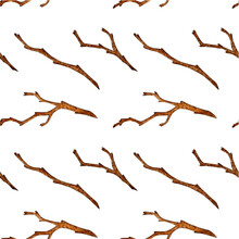 Watercolor Illustration Of A Pattern Of Dry Branches Without Leaves. Bare Snags, Dry Branches. Agriculture, Eco Friendly, Organic Farm. For The Design Of Design Compositions On The Theme Of Tourism, 