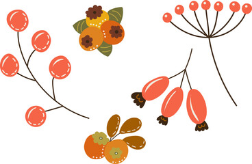 Wall Mural - berries, plants doodle in flat style isolated, vector