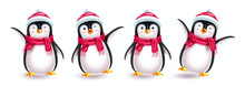Penguin Christmas Characters Vector Set. 3d Penguin Cute Character In Friendly Expressions With Isolated In White Background For Xmas Collection Design. Vector Illustration.
