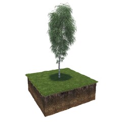 Wall Mural - tree on the grass and a slice of soil under it, 3d render