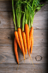 Canvas Print - Organic carrots