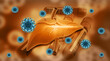 Human liver and hepatitis virus. 3d illustration..
