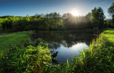 Canvas Print - lake with sun reflection in water near forest